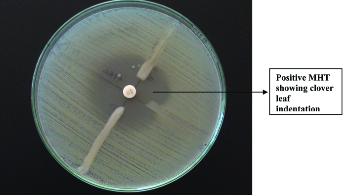 [Table/Fig-4]: