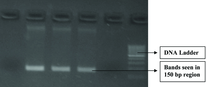 [Table/Fig-5]: