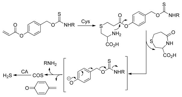 Scheme 1