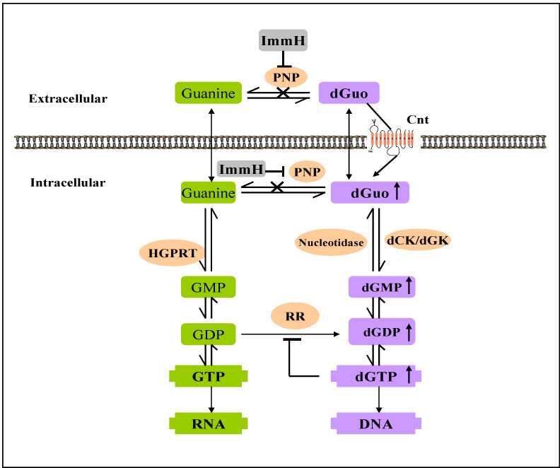 Fig. 8