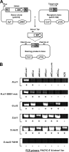 FIG. 2.