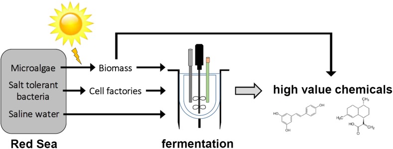 Fig. 1