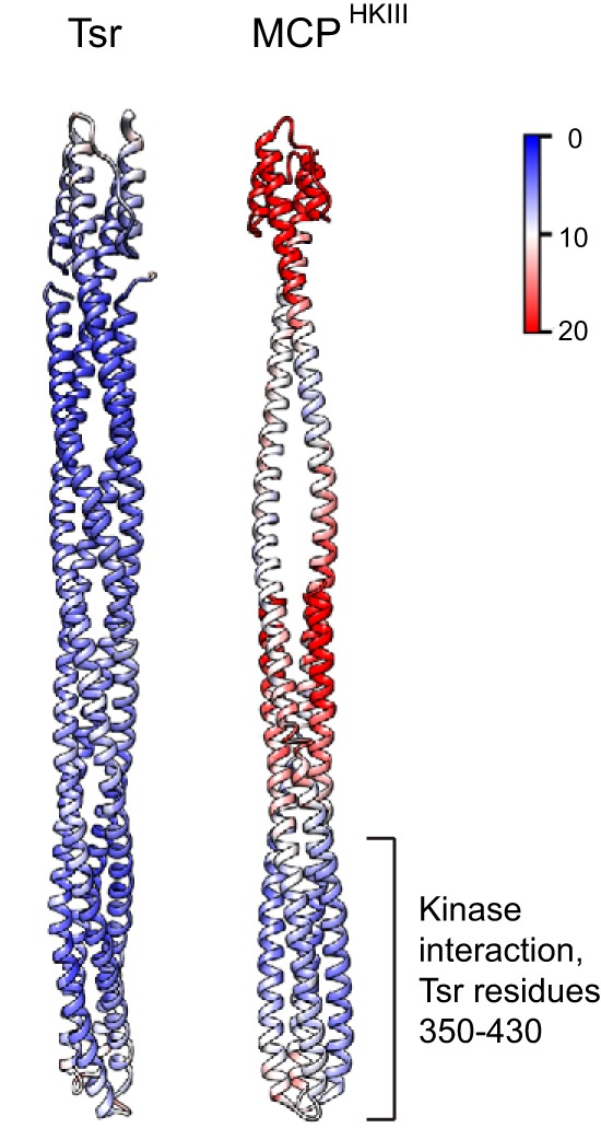 FIG 2