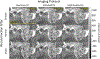 Fig. 8.
