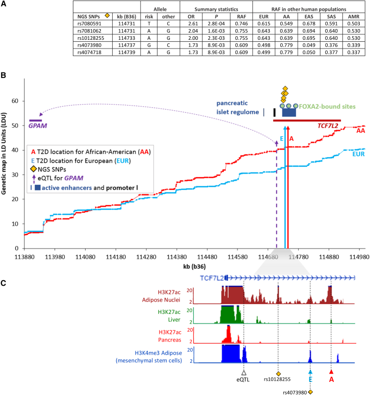 Figure 4