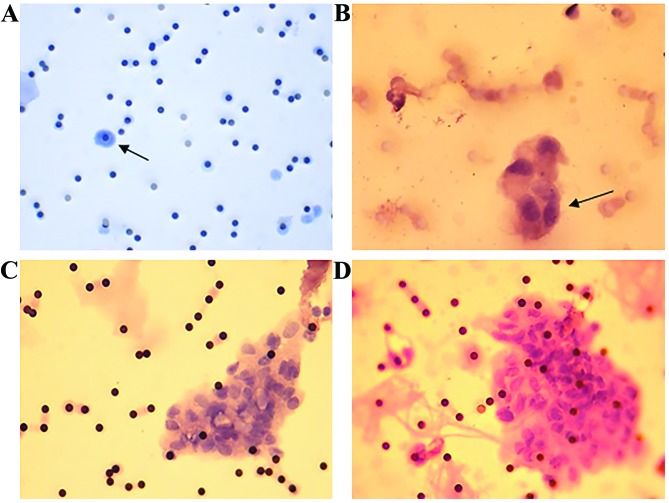 Figure 4.