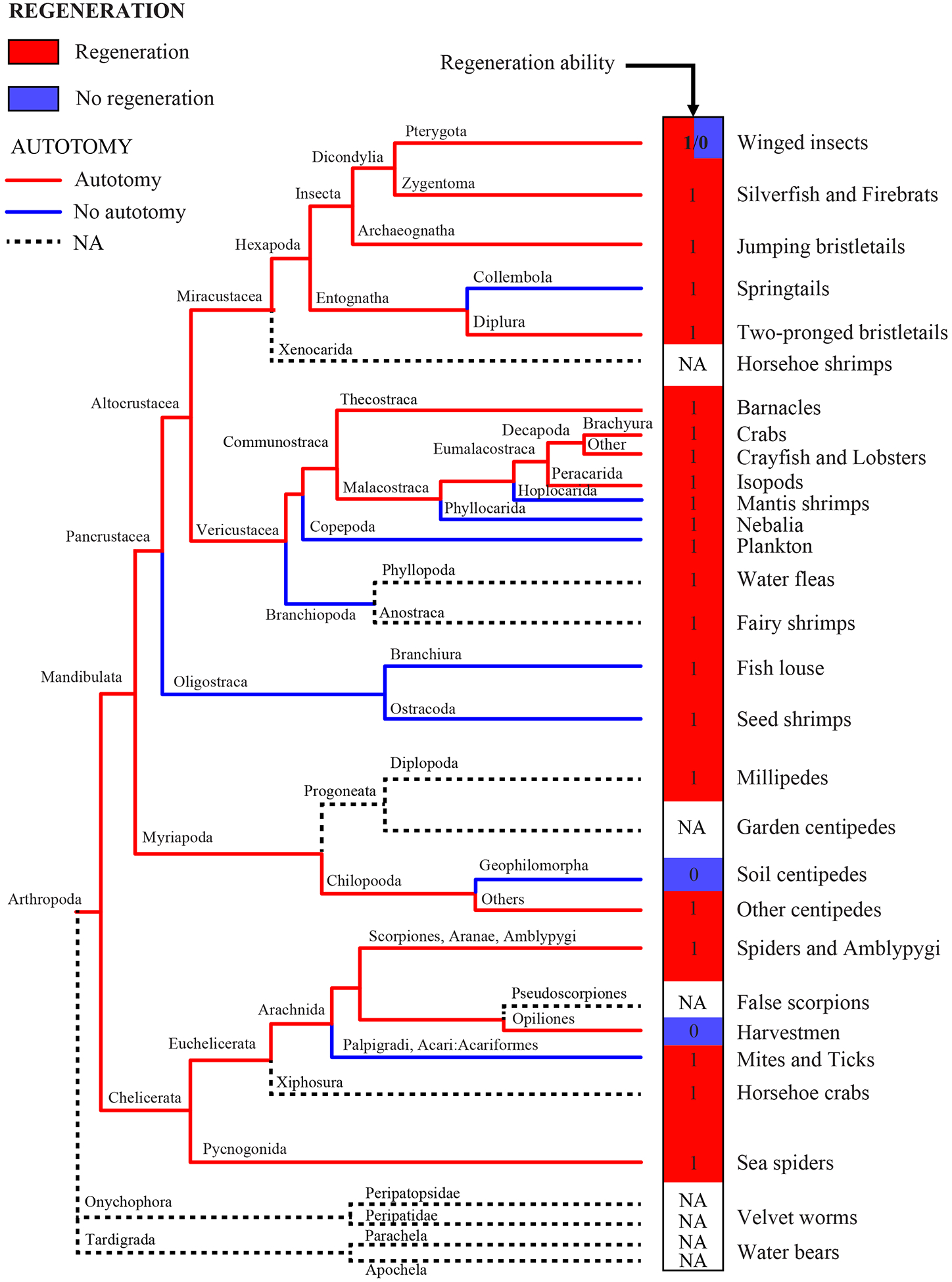 Figure 1: