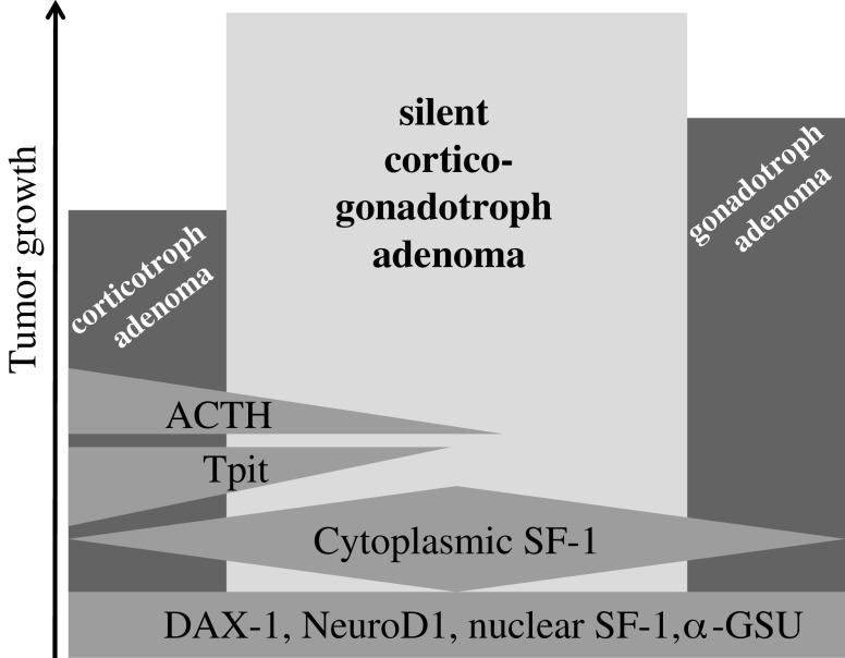 Fig. 6