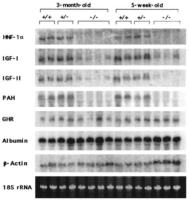 FIG. 6