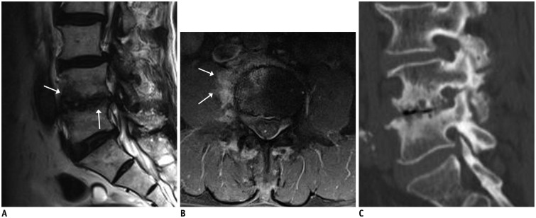 Fig. 9