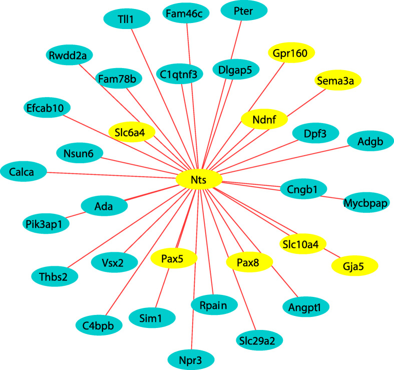 Fig. 6