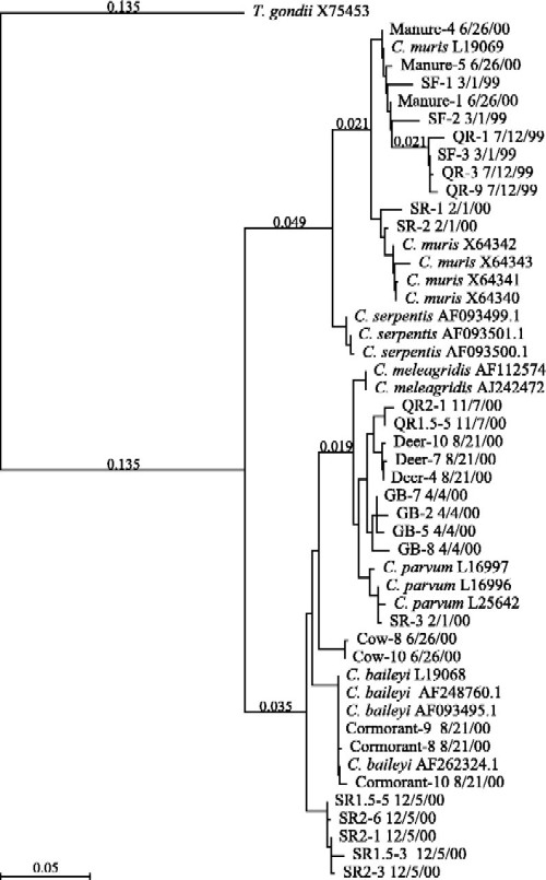 FIG. 5.