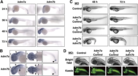 Figure 3.