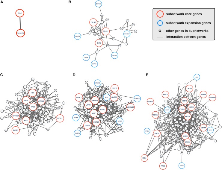 FIGURE 3