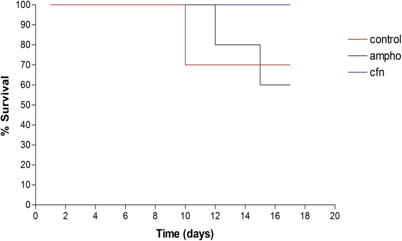 Fig 10