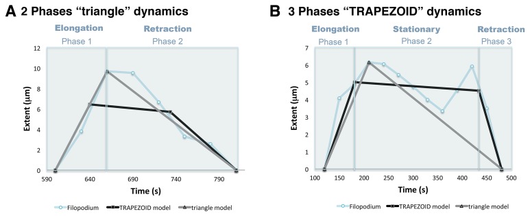 Figure 1—figure supplement 1.