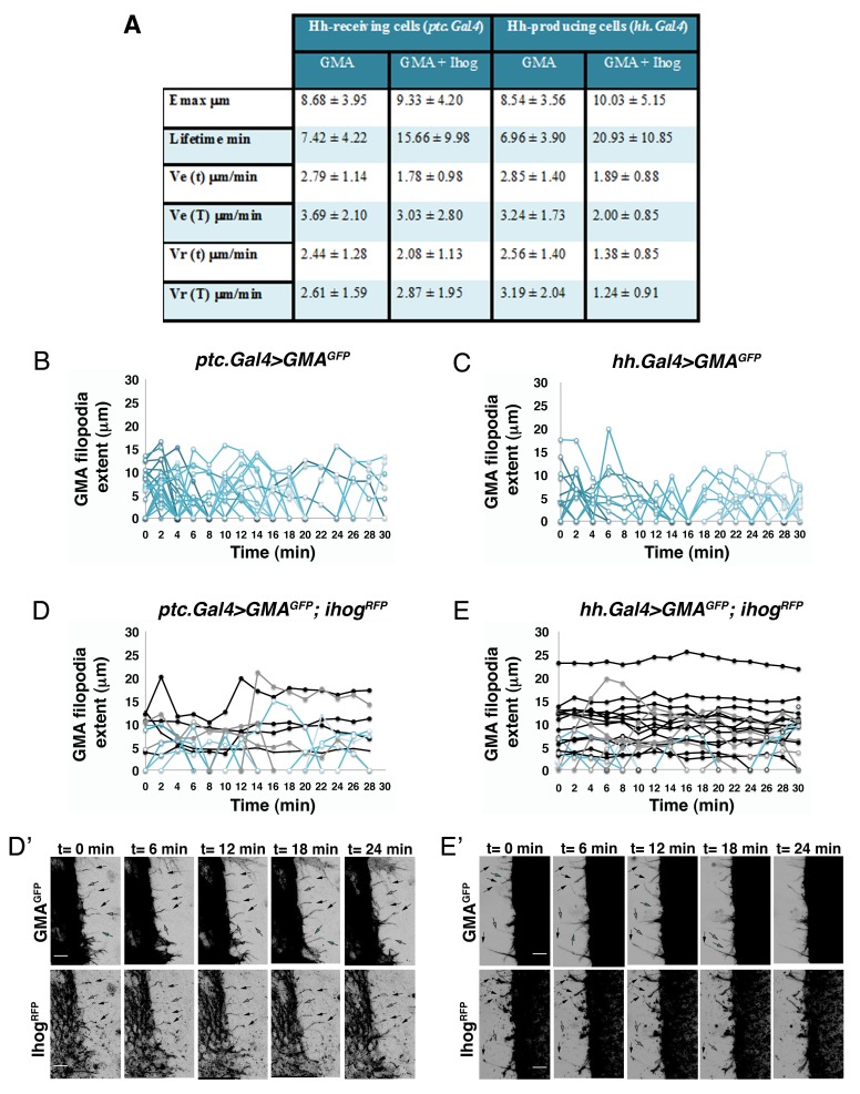 Figure 1—figure supplement 2.