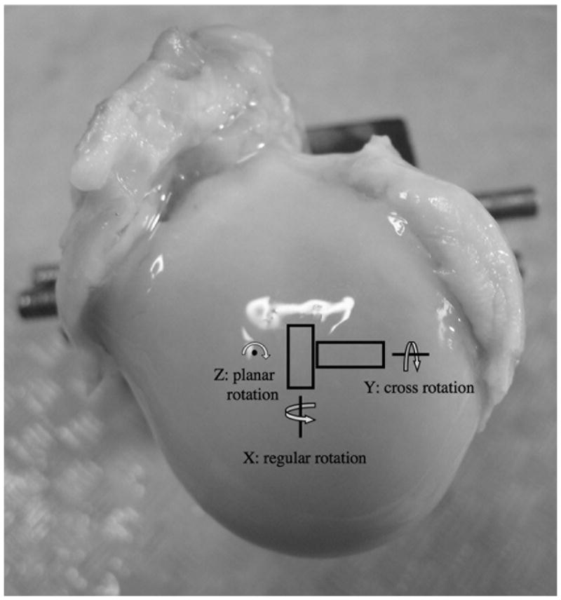 Fig 1