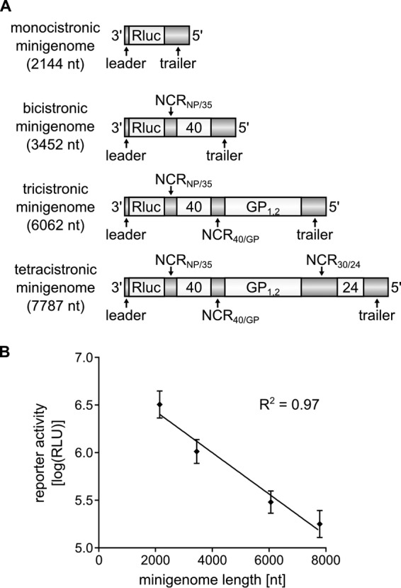 FIG 2