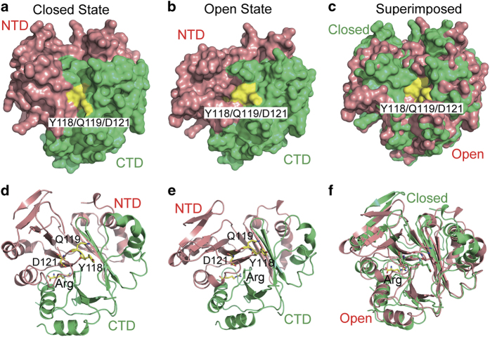 Figure 5