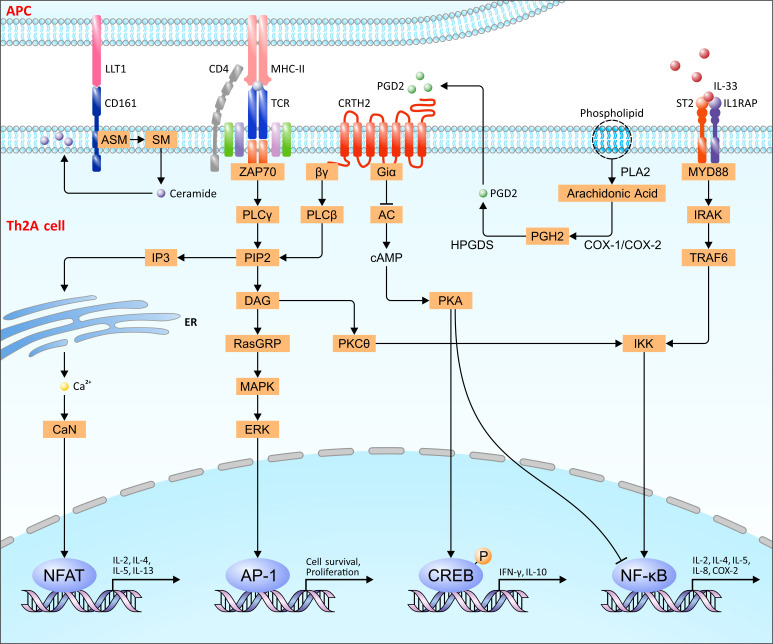 Figure 1