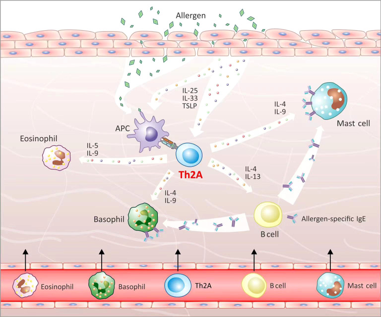 Figure 2