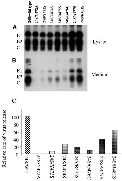 FIG. 4