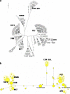Fig. 3