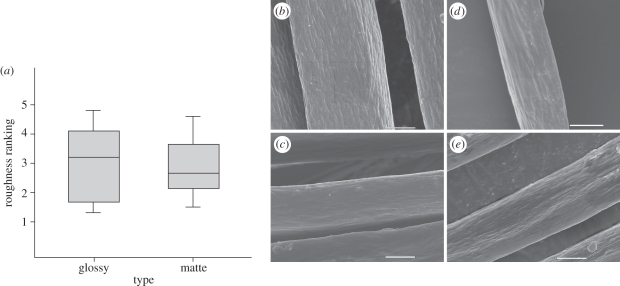 Figure 5.