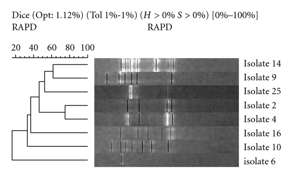 Figure 7