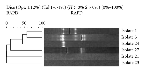 Figure 6