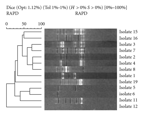 Figure 5