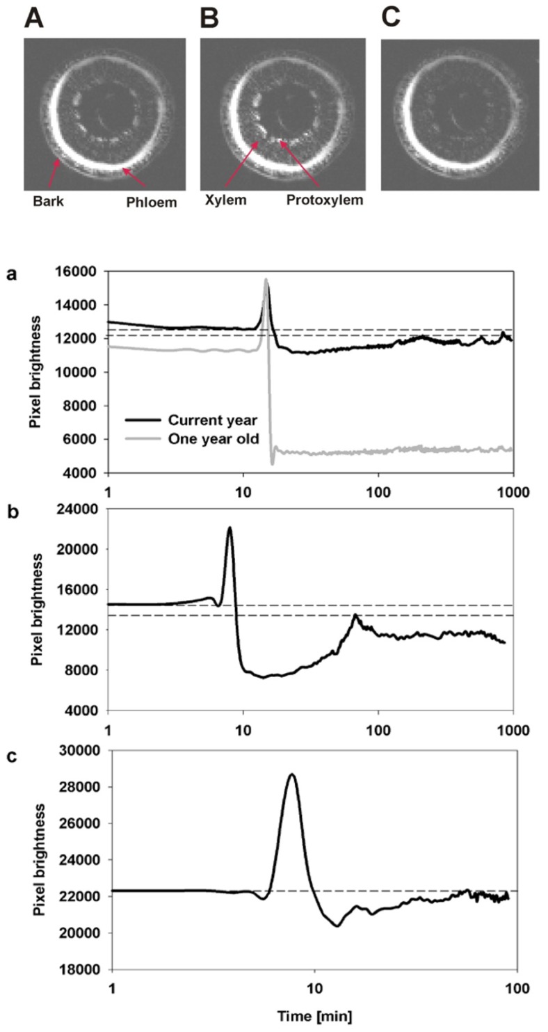 FIGURE 2