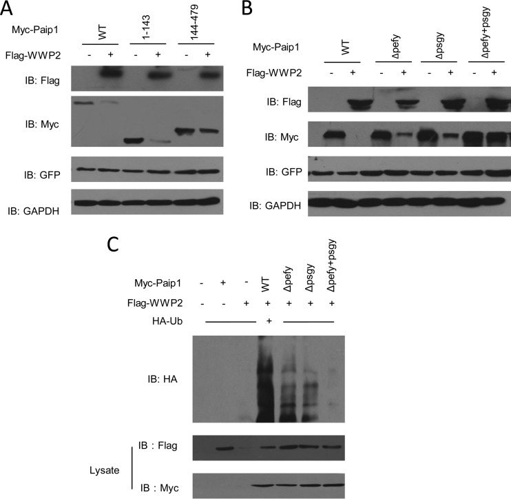 FIG 4