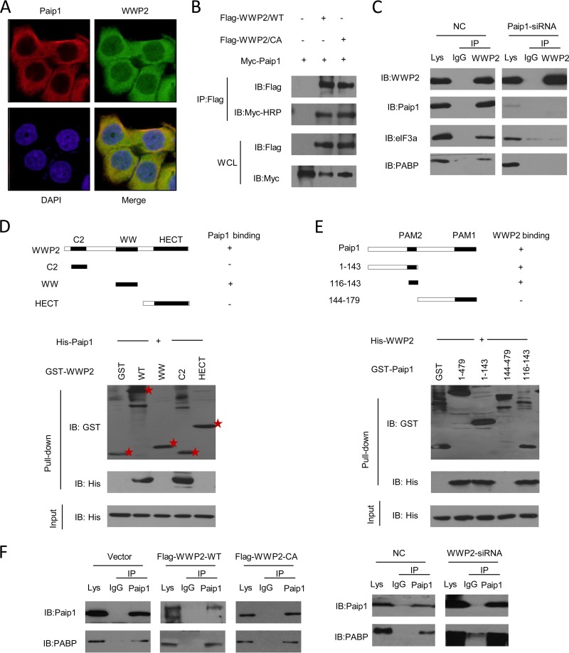 FIG 3