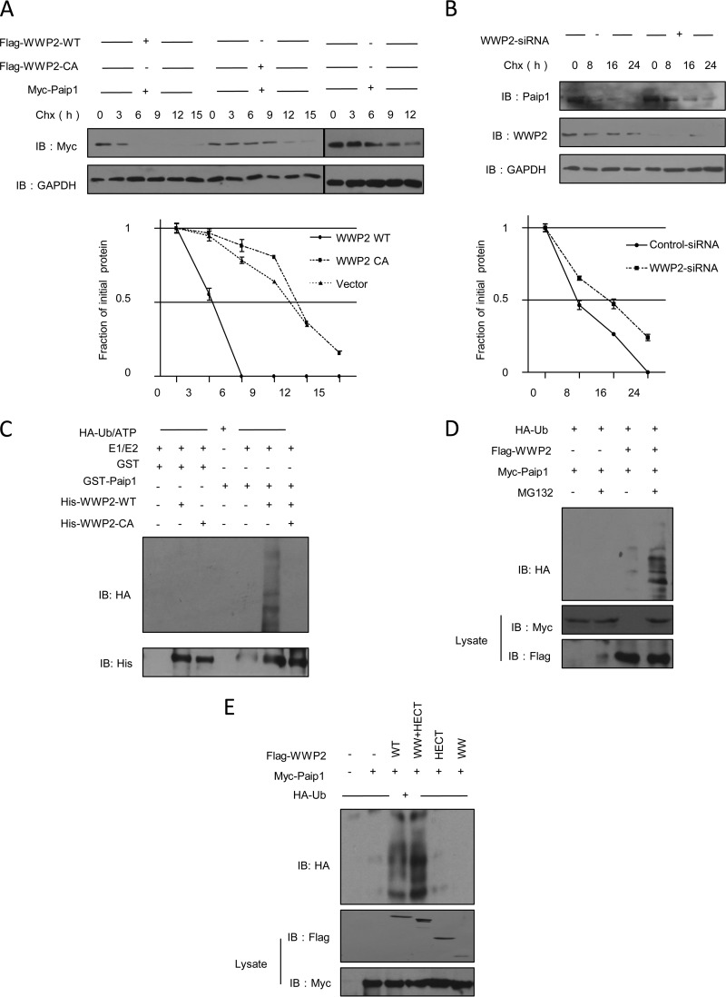 FIG 2