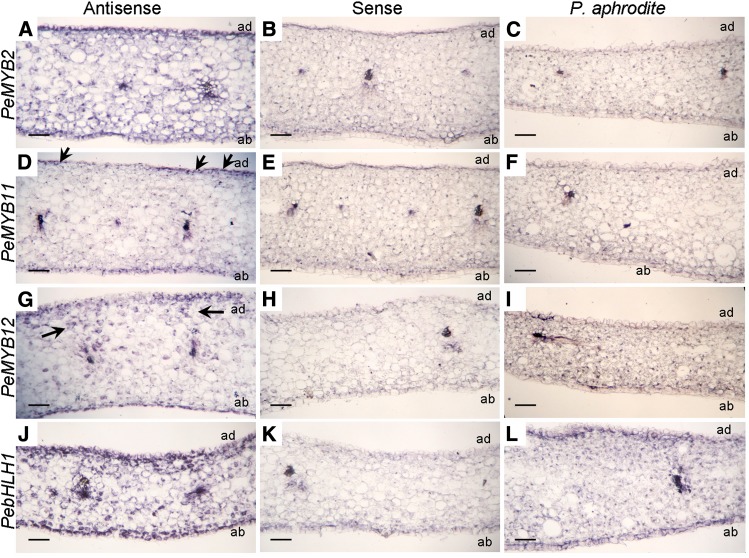 Figure 9.