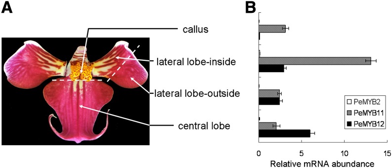 Figure 7.