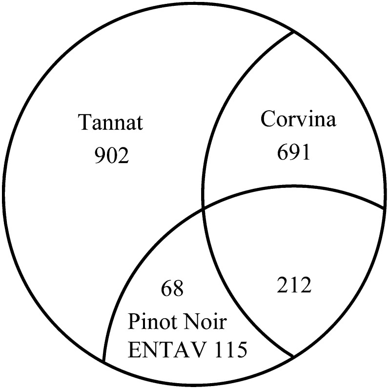 Figure 6.