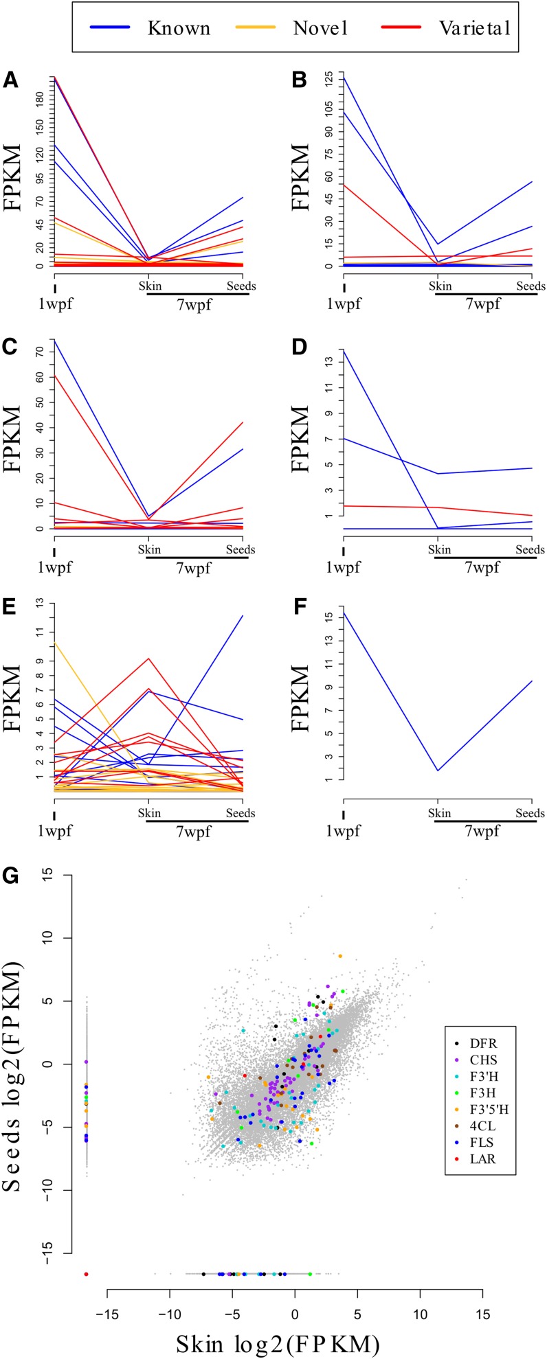 Figure 4.