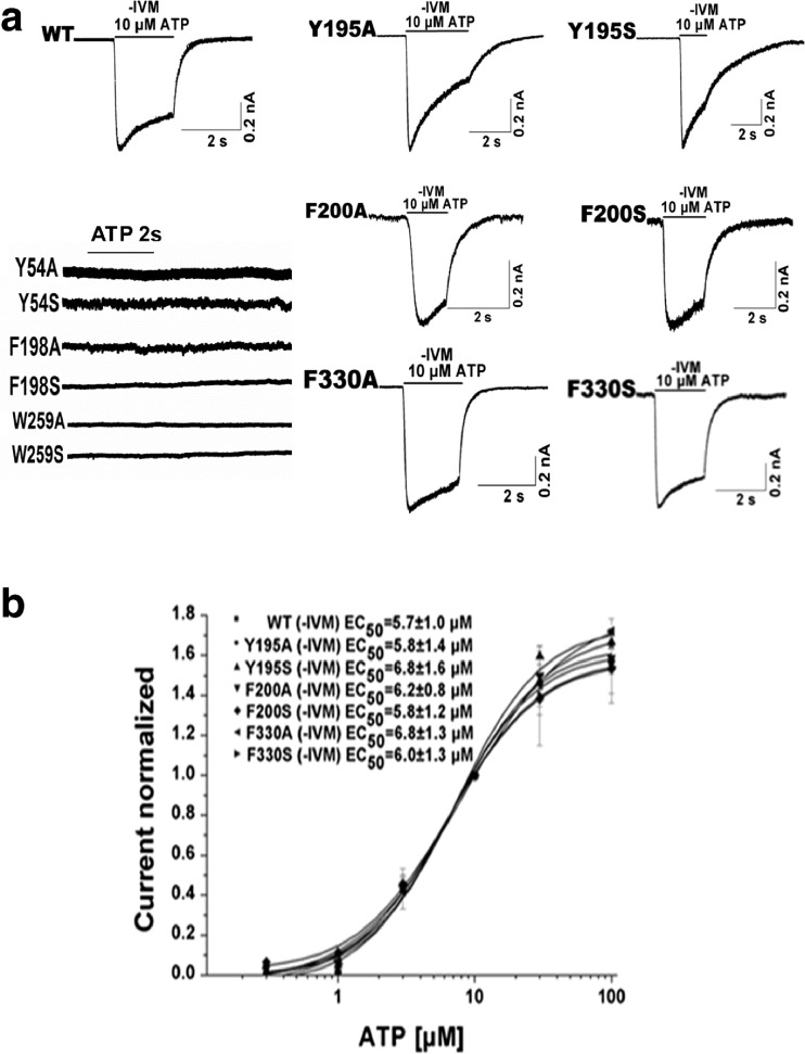 Fig. 2