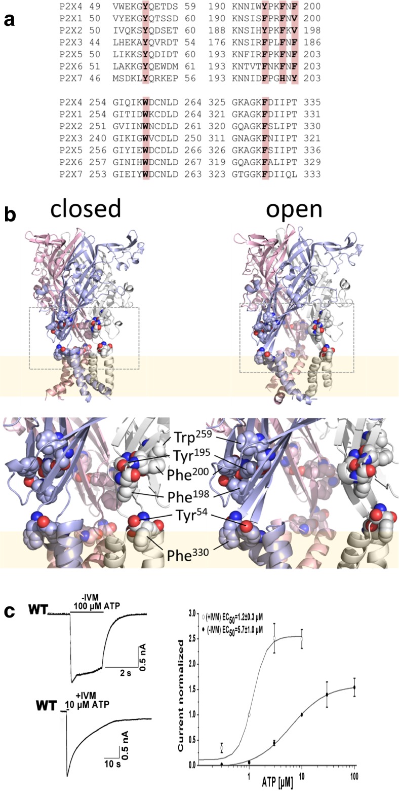 Fig. 1