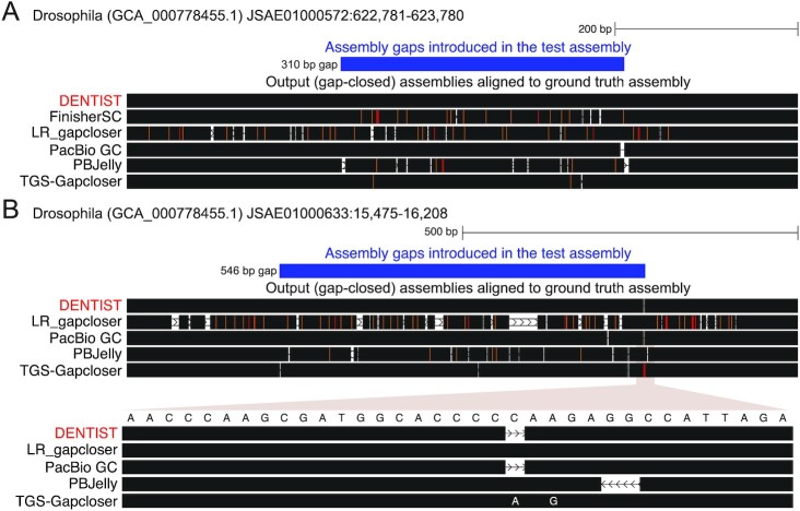 Figure 4: