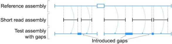 Figure 2: