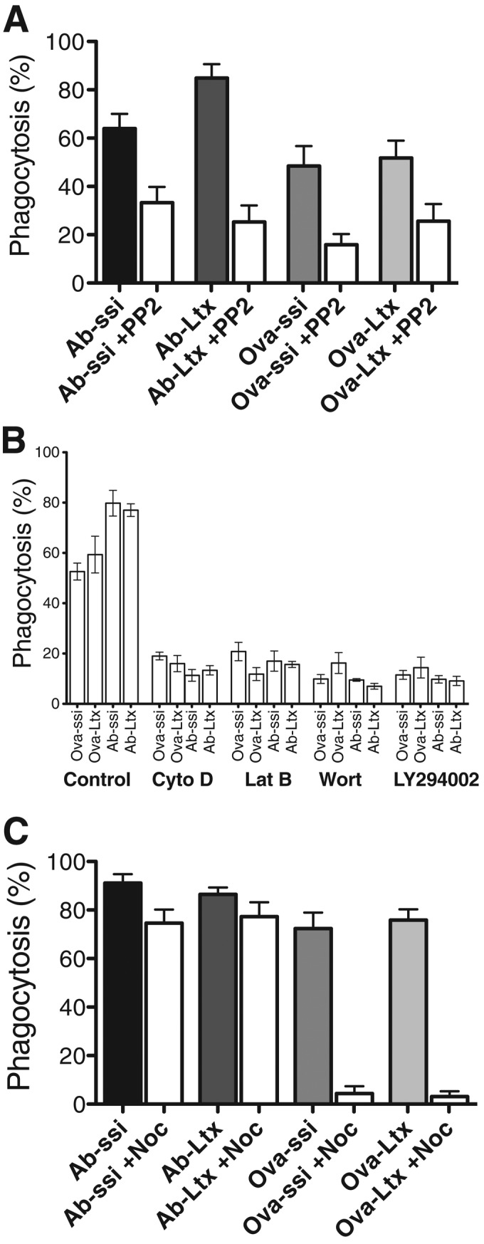 FIGURE 1: