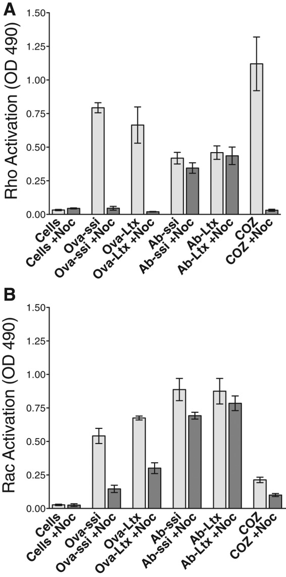 FIGURE 3: