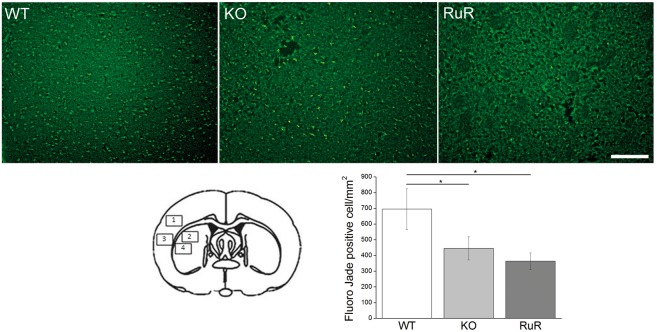 Figure 6.