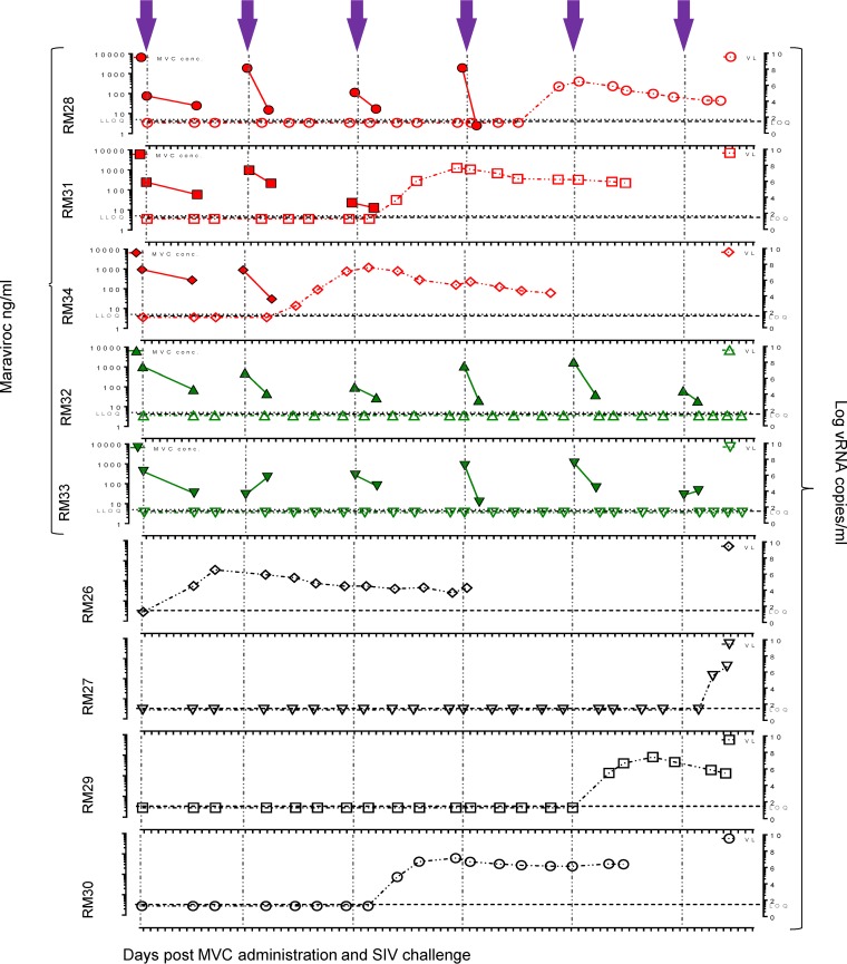 FIG 2