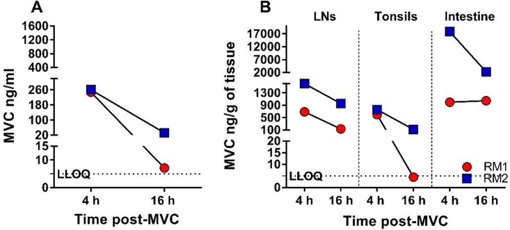 FIG 3