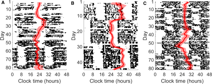 Figure 2